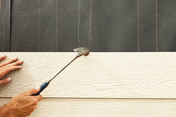 Affordable Siding Repair and Maintenance Services in Montrose, MN